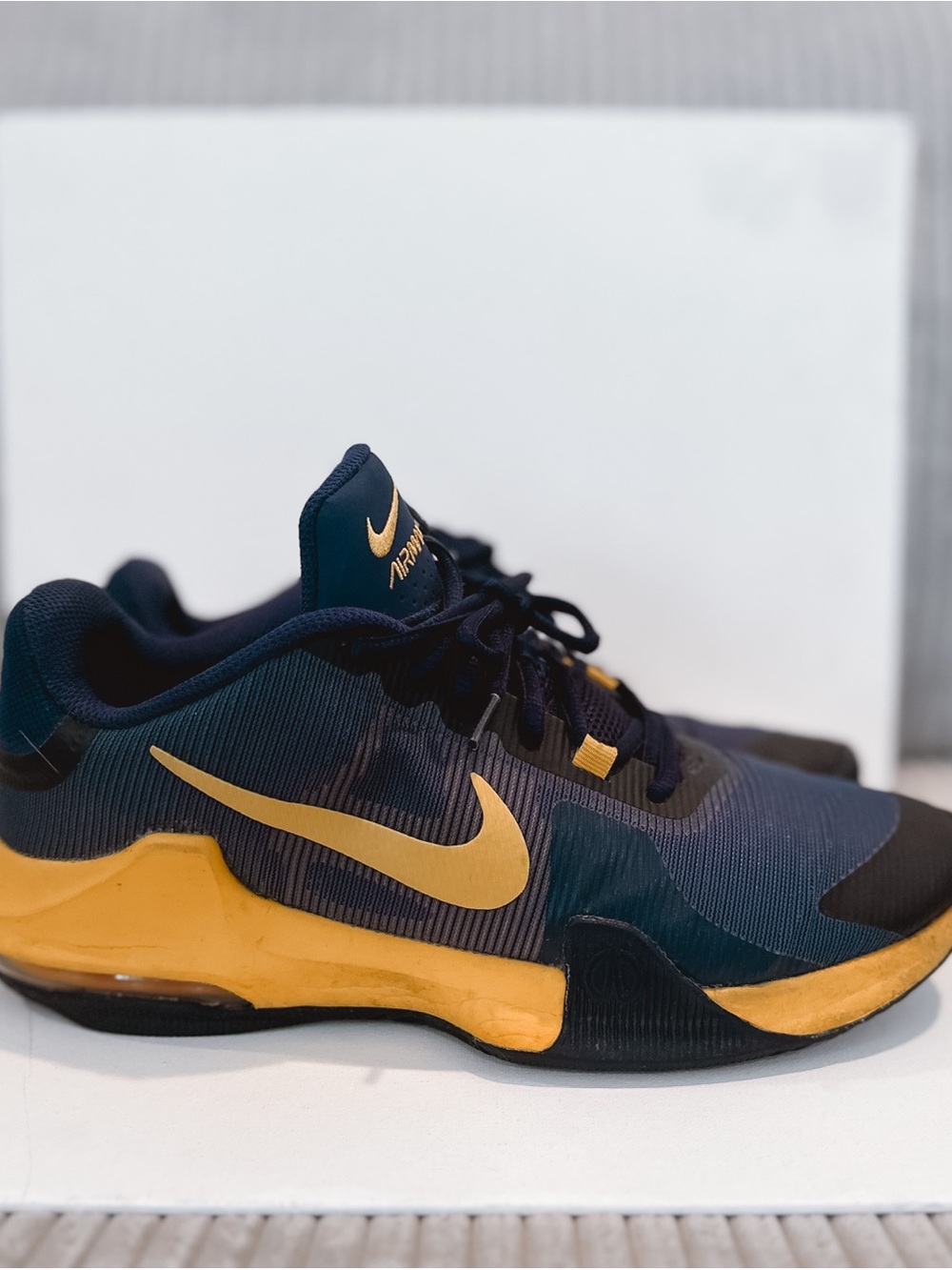 Nike Air Max Alpha Trainer Navy & Gold